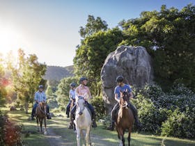 Fordsdale Horseback Adventures