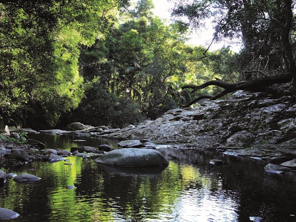 Currumbin Valley Map