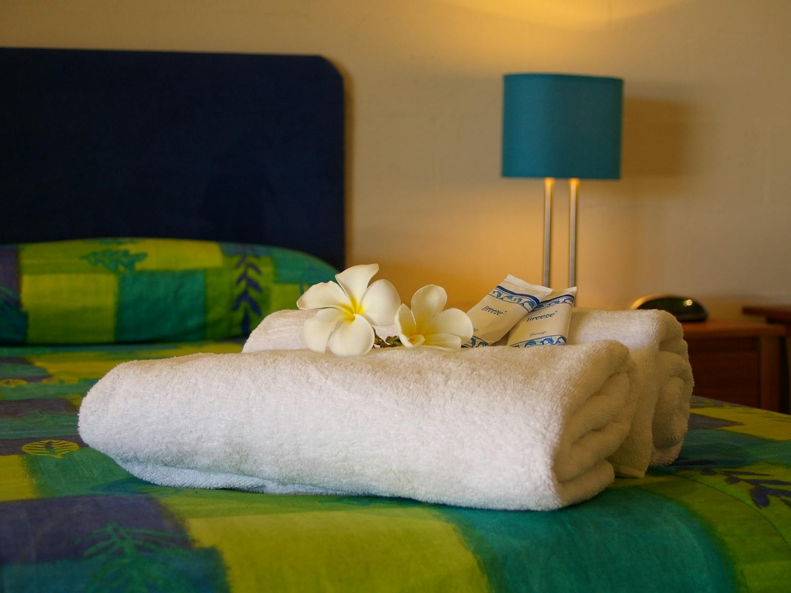 Fully Self Contained One bedroom apartment, separate lounge, kitchen and bathroom