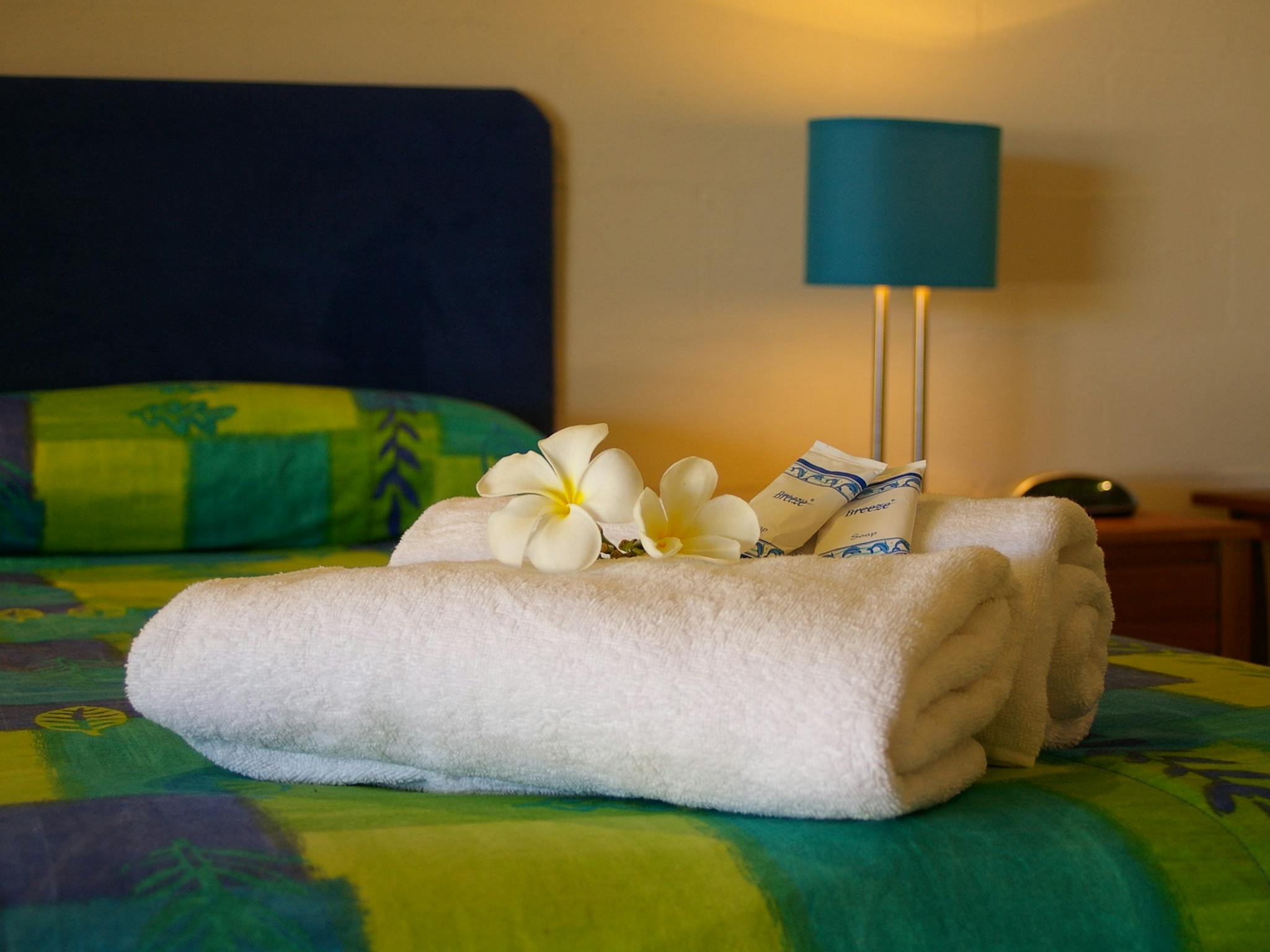 Fully Self Contained One bedroom apartment, separate lounge, kitchen and bathroom Fully Self Contained One bedroom apartment, separate lounge, kitchen and bathroom
