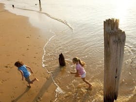 Phillip Island