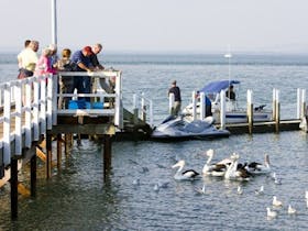 Newhaven image