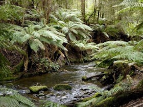 Colac image