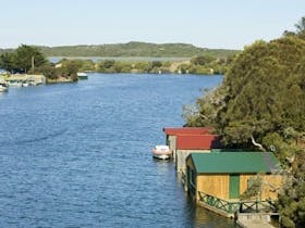 Nelson image