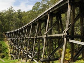 Noojee image