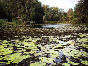 Baldwin Swamp Environmental Park