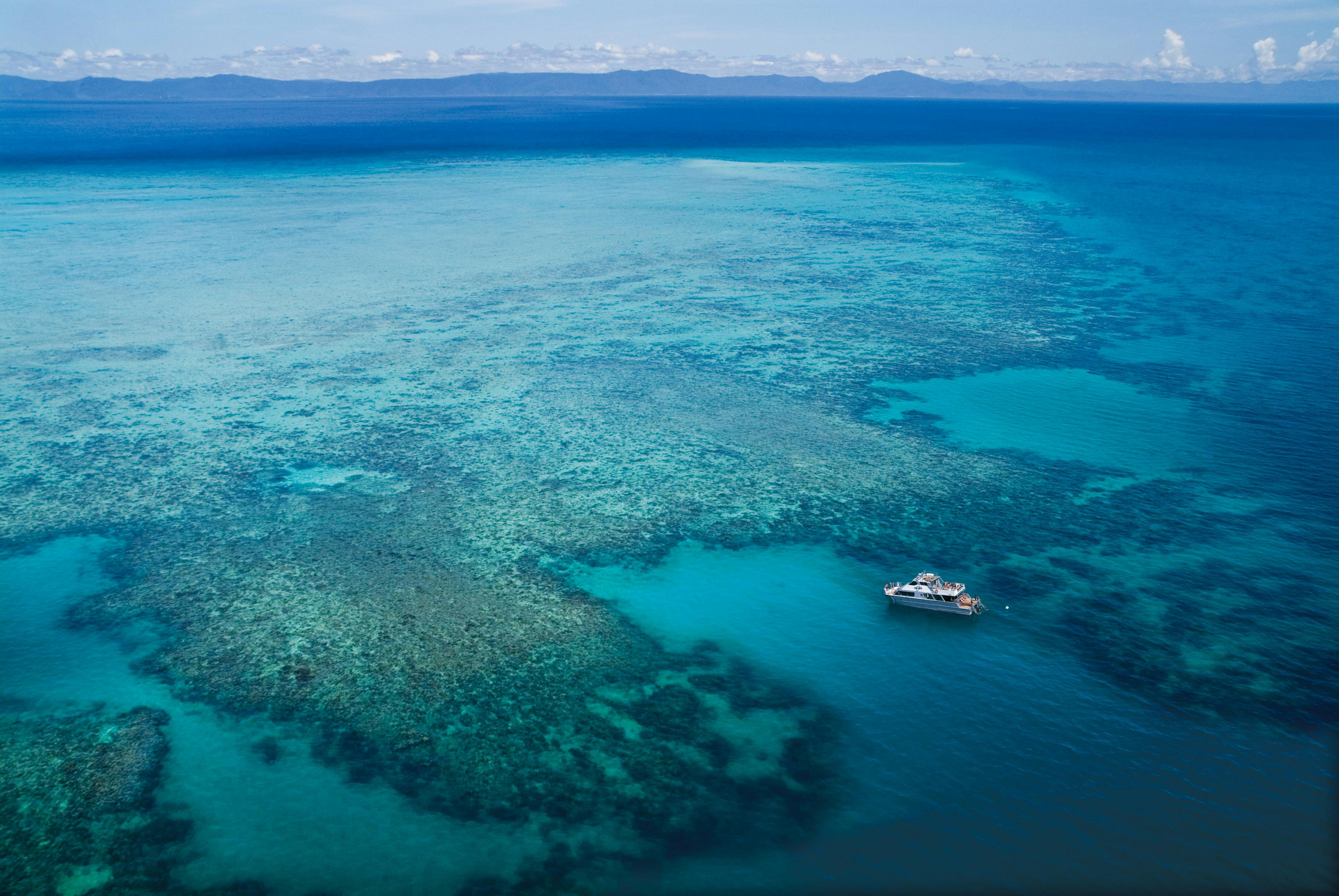"Wonder Wall" - Ocean Freedom 