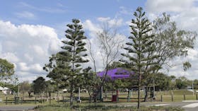 Moore Park Beach & Foreshore