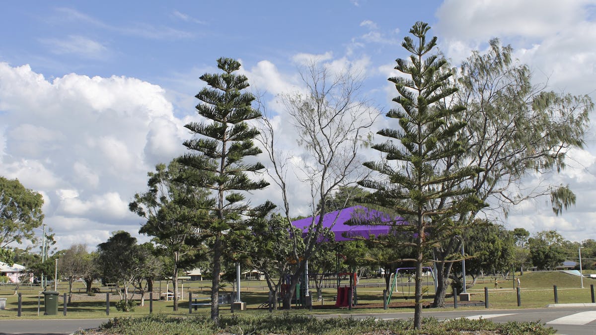 Moore Park Beach Playground