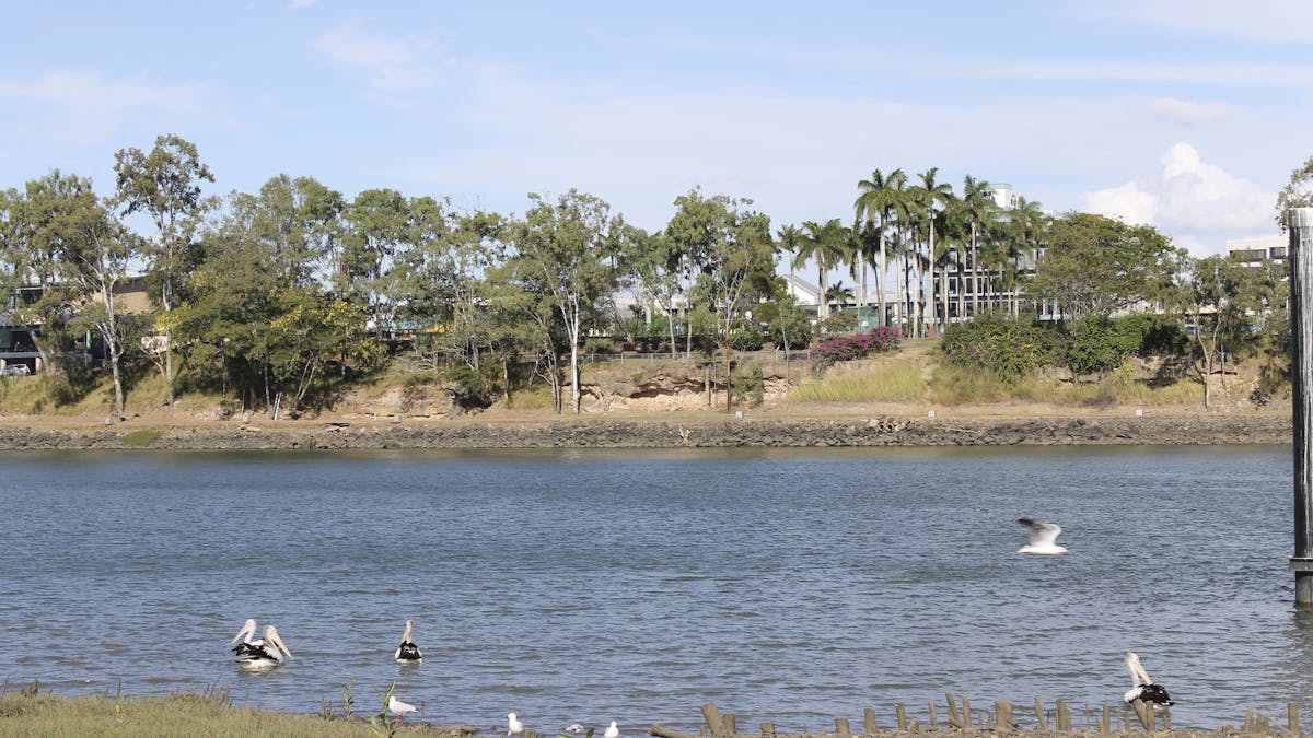 View from Lions Park, North Bundaberg