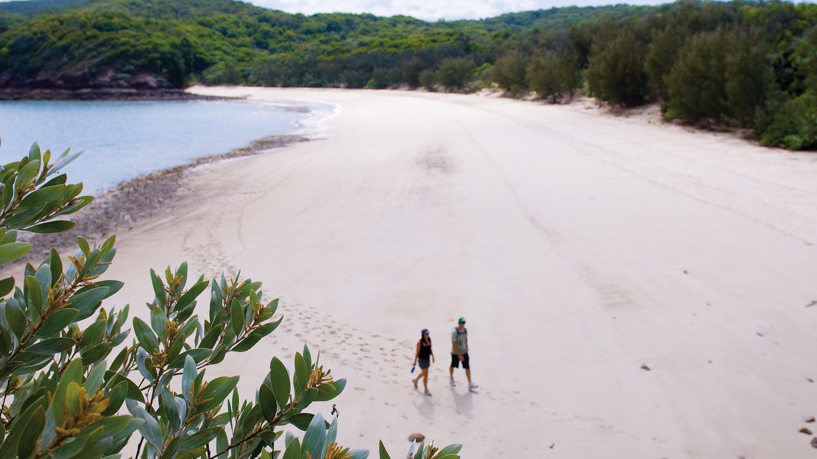 Whitsunday Island Camping Connections Pty Ltd 