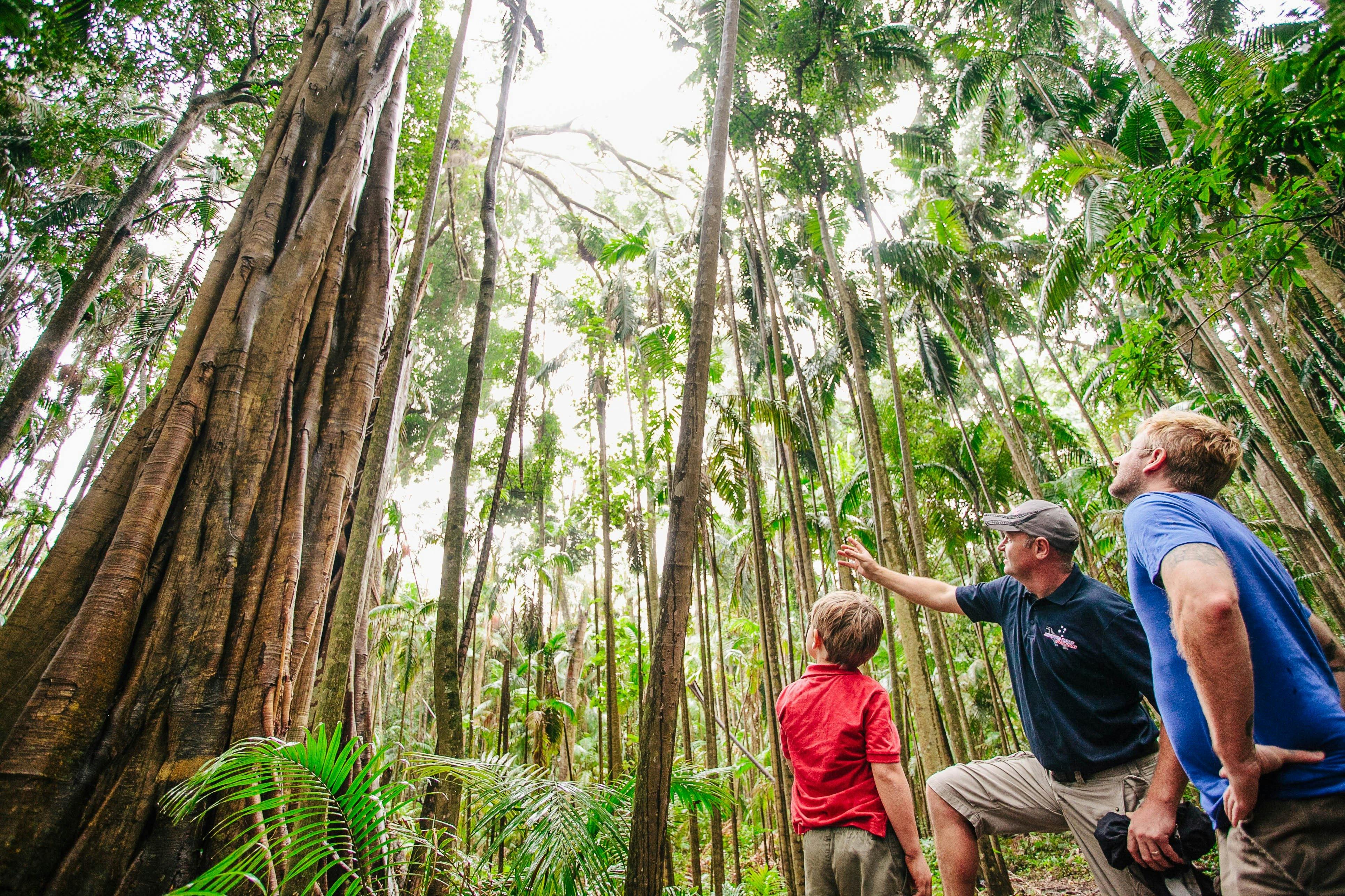 Southern Cross 4WD Tours Gold Coast