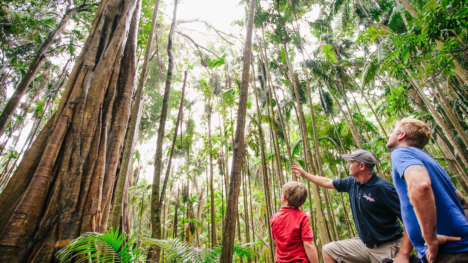 Southern Cross Tours
