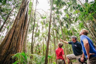 Southern Cross 4WD Tours Gold Coast