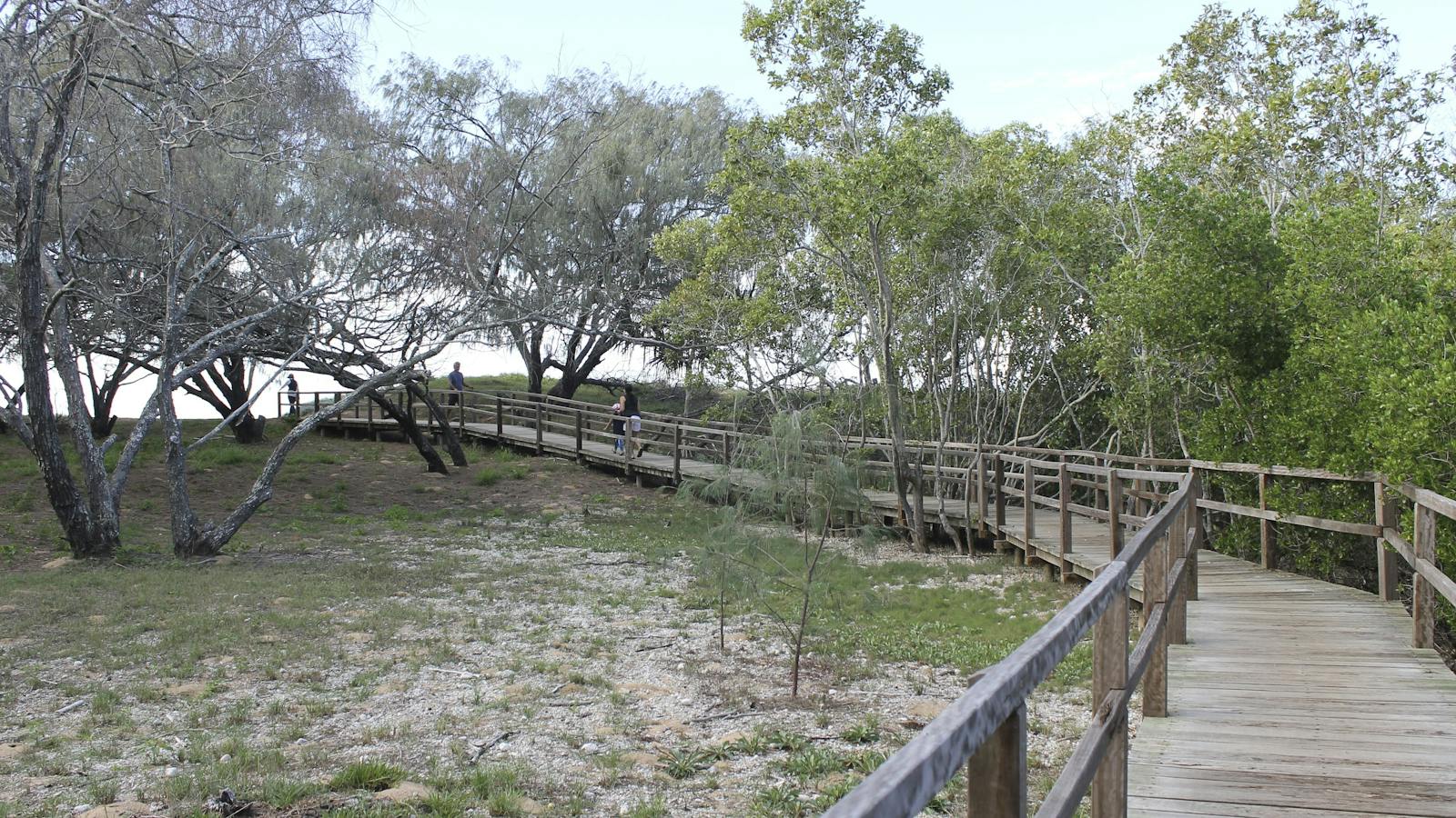 Boardwalk leading to Mon Repos beach