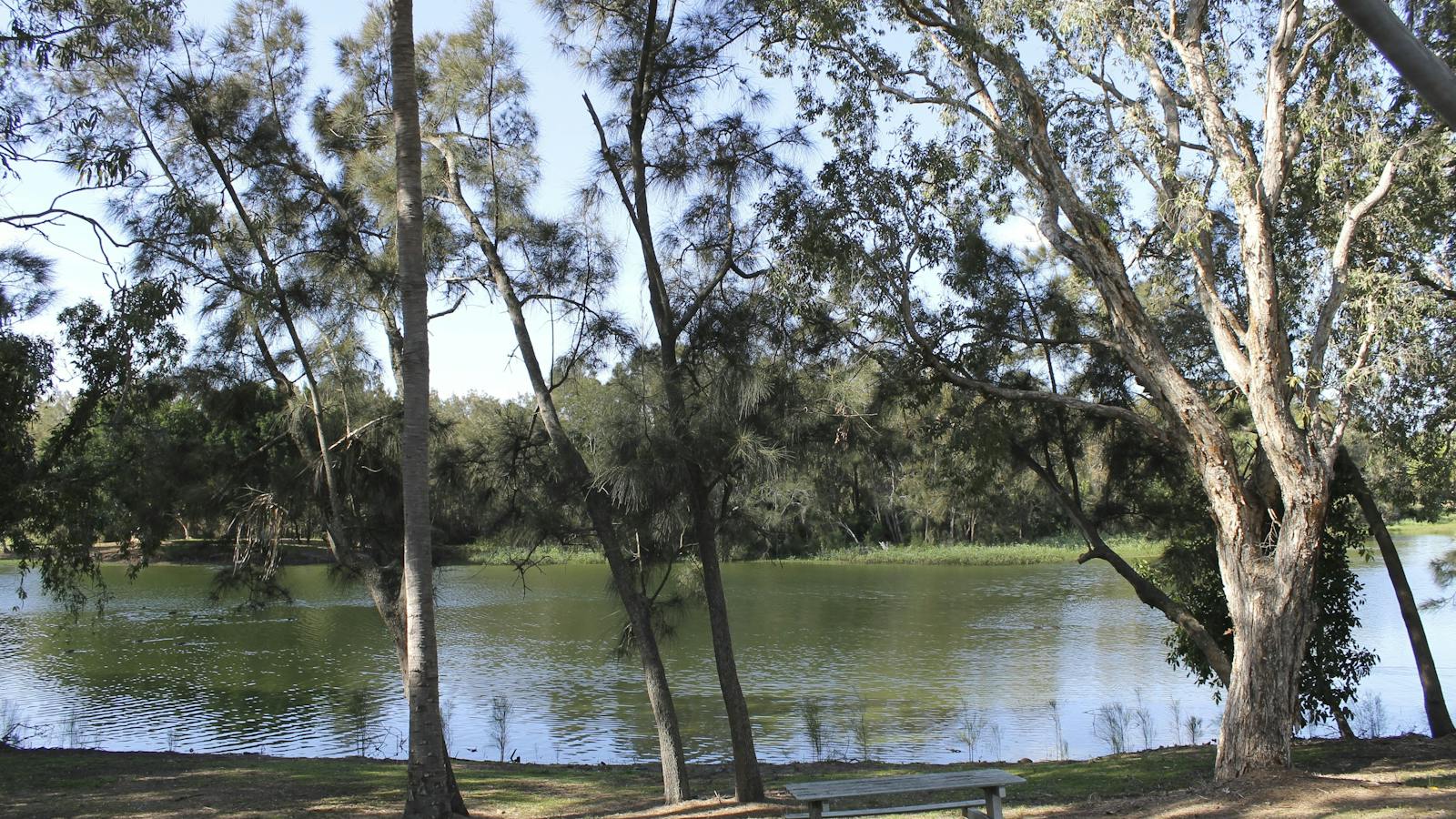Moore Park Beach lagoon is a great location for a picnic