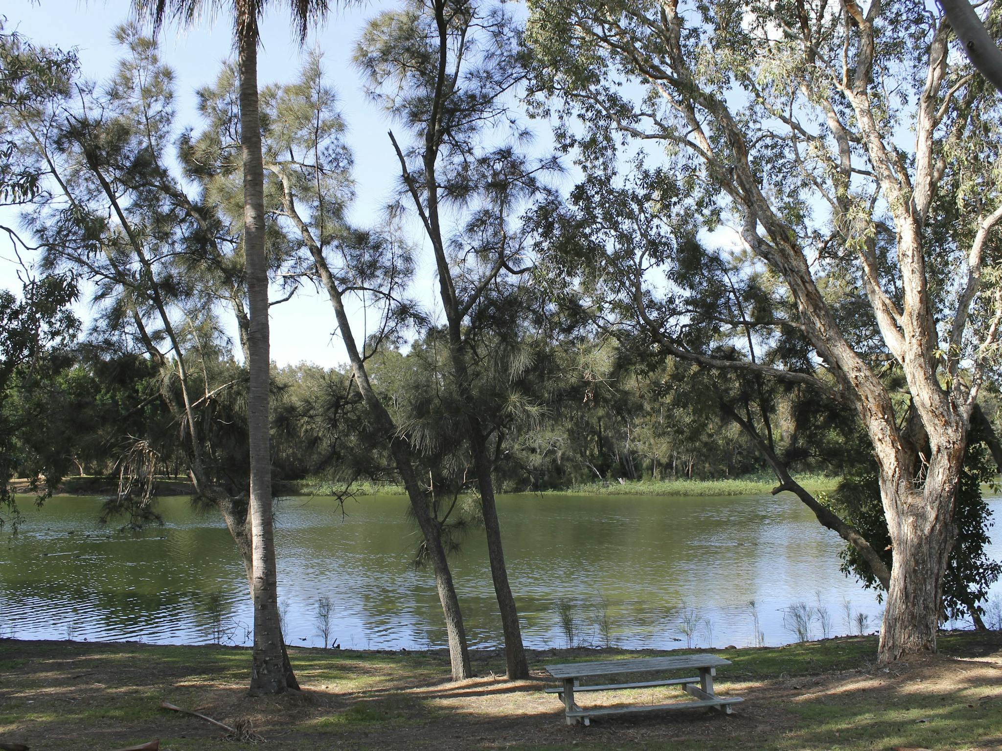 Moore Park Beach lagoon is a great location for a picnic Moore Park Beach lagoon is a great location for a picnic