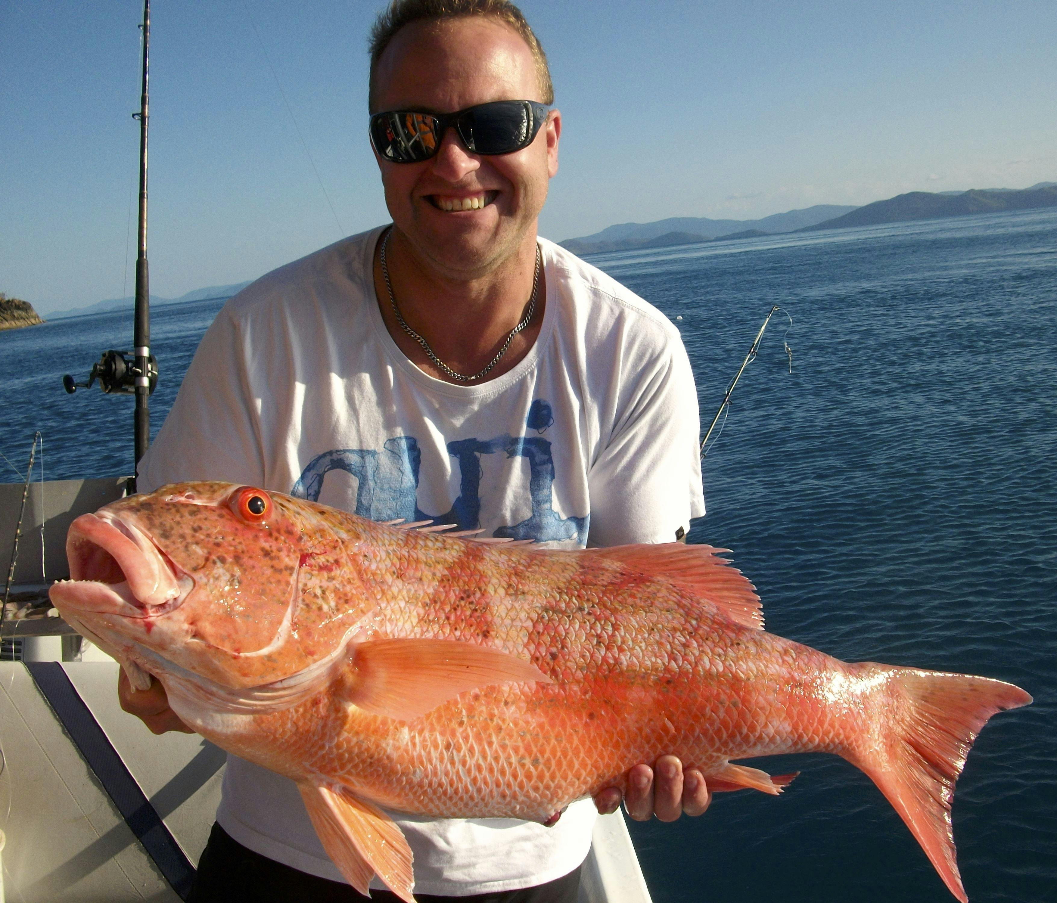 Airlie Beach Fishing Charters BIG4 Adventure Whitsunday Resort
