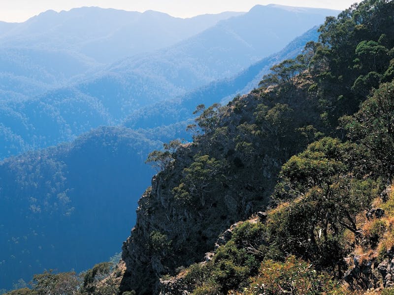 High Country