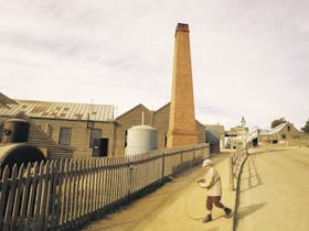 Goldfields