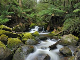 Gippsland