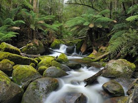 Gippsland