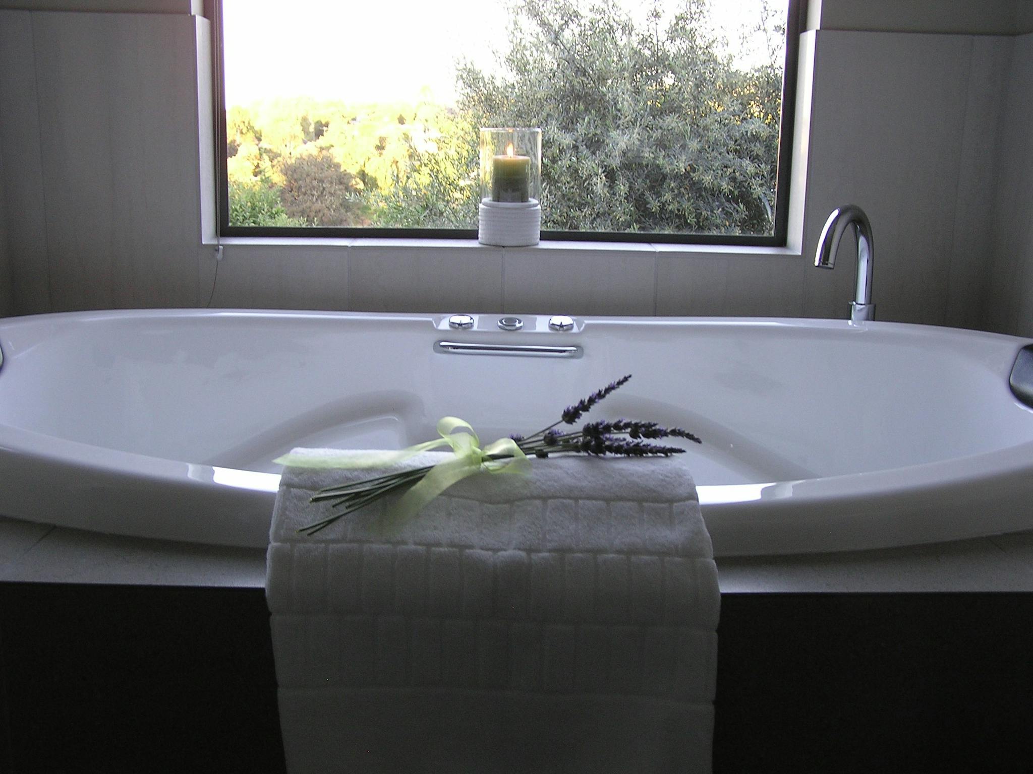 Double spa bath under picture window