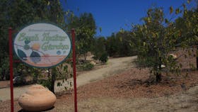 Bush Tucker Garden
