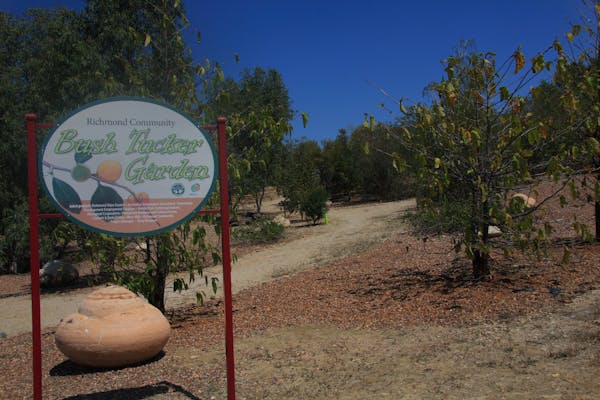 Bush Tucker Garden