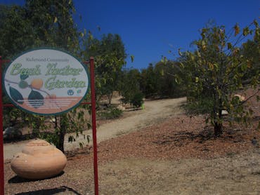 ATDW_Landscape__AQ21_Bush_Tucker_Garden.JPG