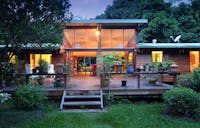 set in tropical rainforest and garden