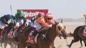 Birdsville Races