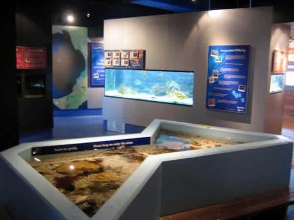 Marine and Freshwater Discovery Centre