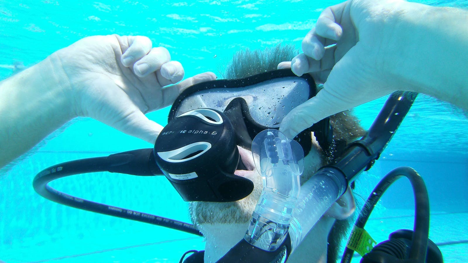 Jordan Taylor PADI Open Water Course