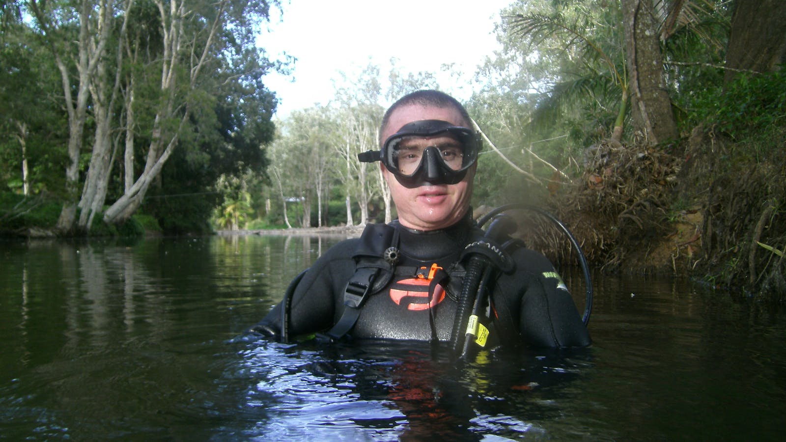 Platypus waters dive