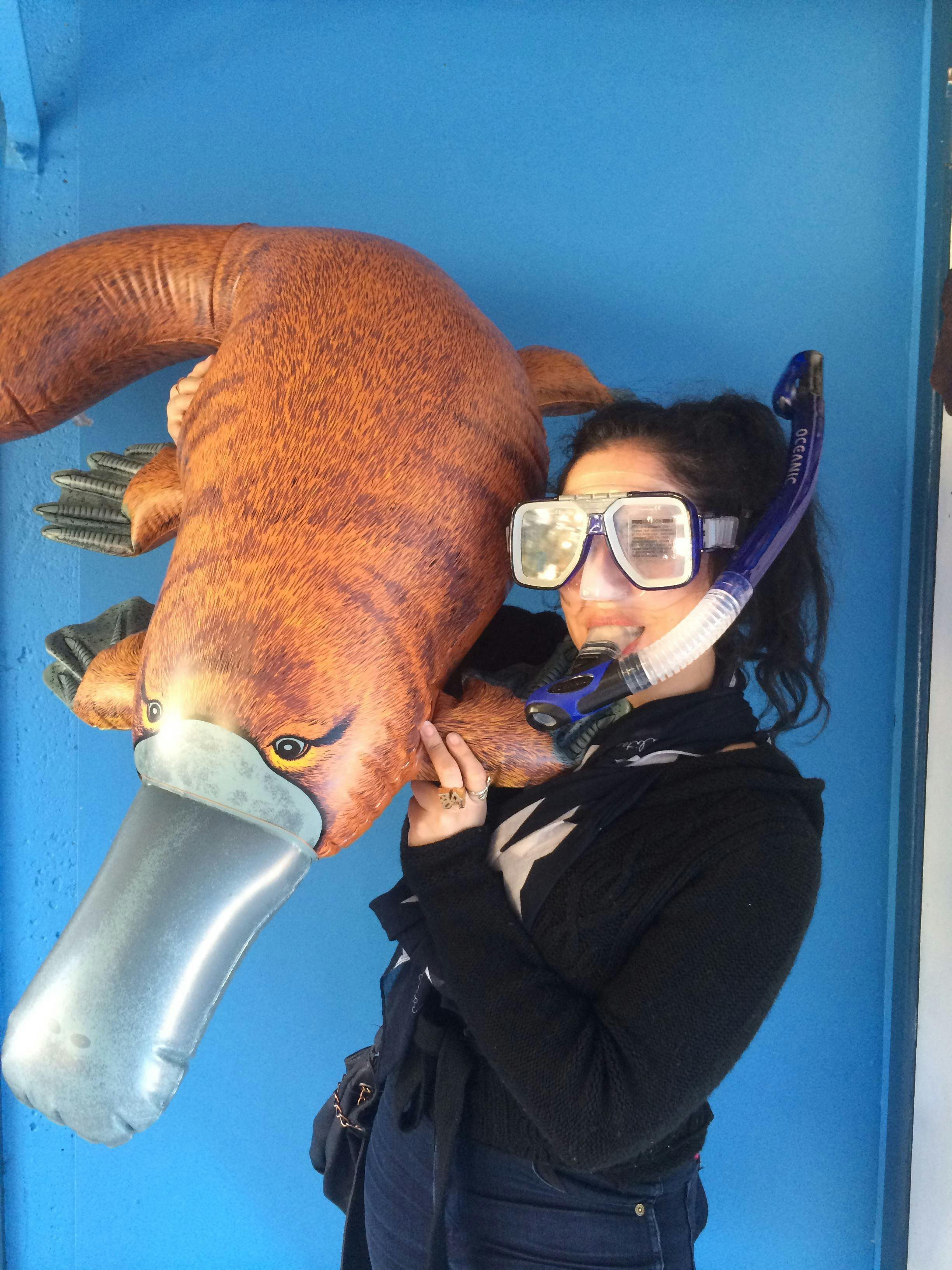 Rainforest Scuba PADI Dive Centre