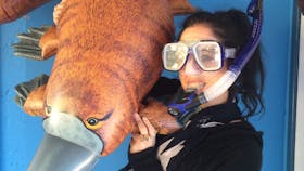 Platypus waters scuba diving