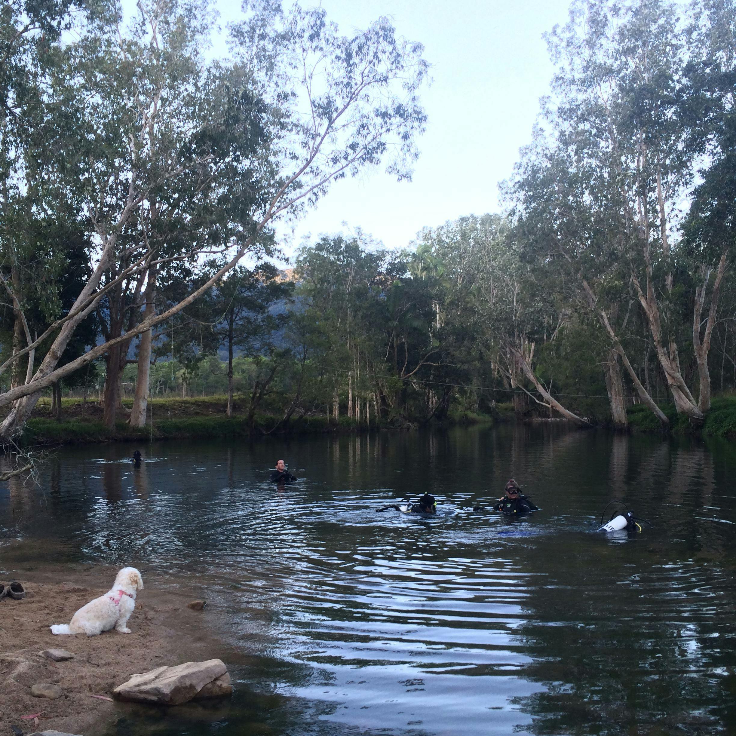 Rainforest Scuba Diving in Platypus Waters