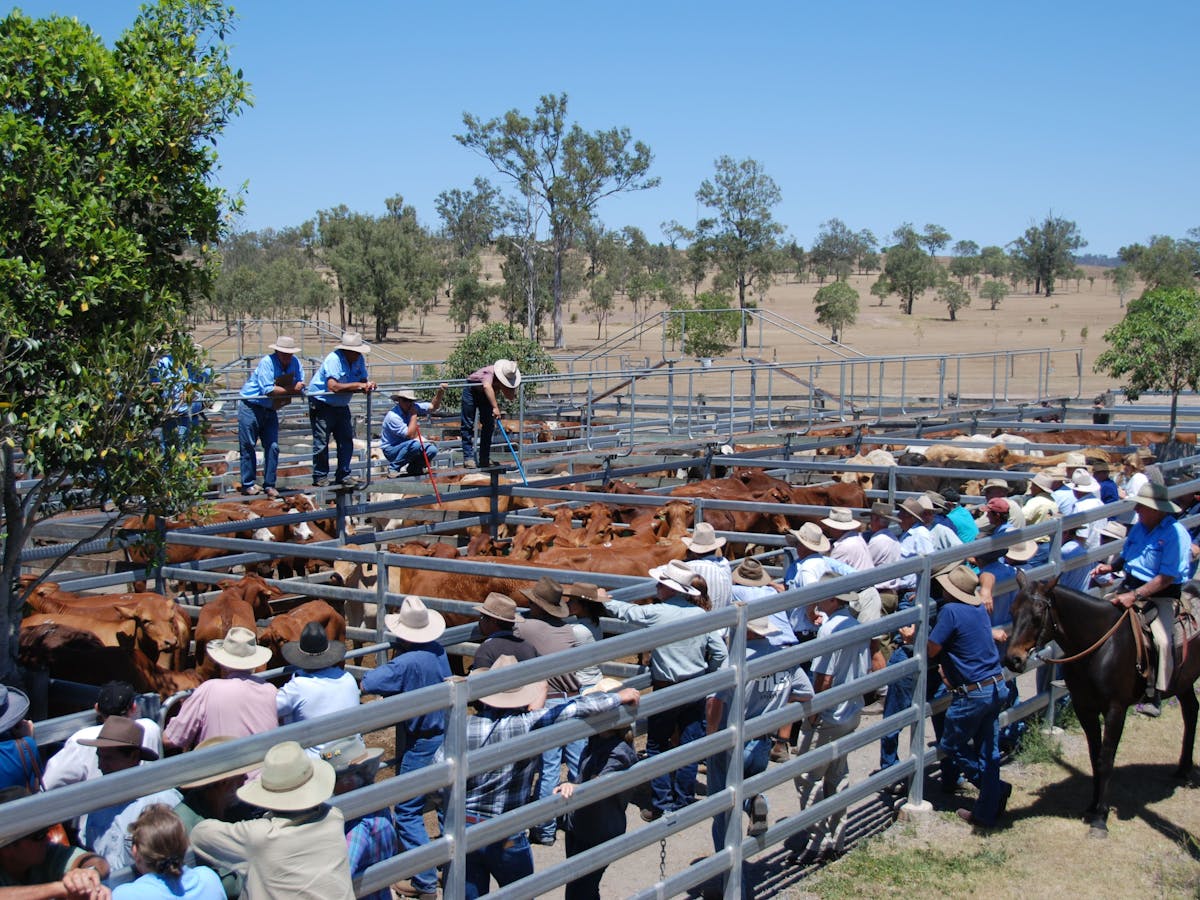 Toogoolawah Destination Information Queensland