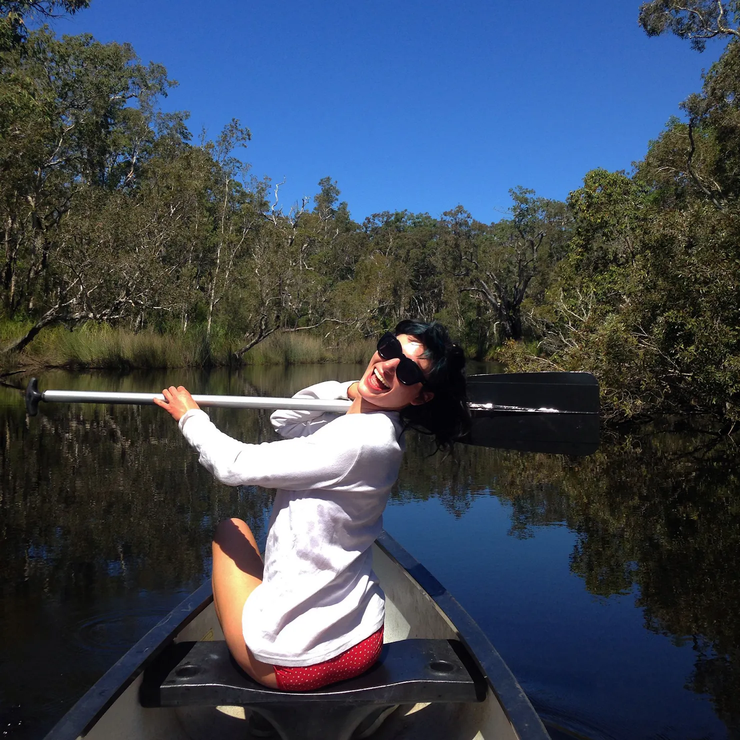 Noosa Everglades Discovery