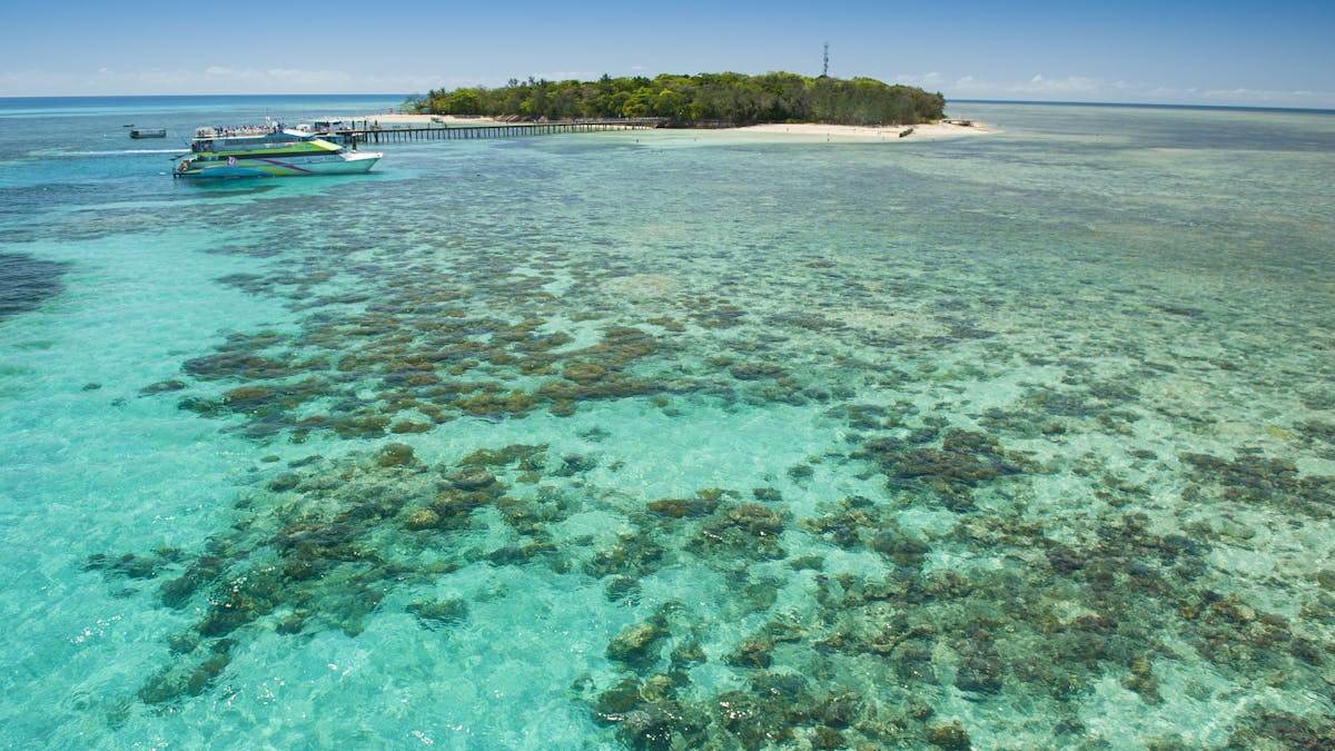 Green Island Great Barrier Reef Tours