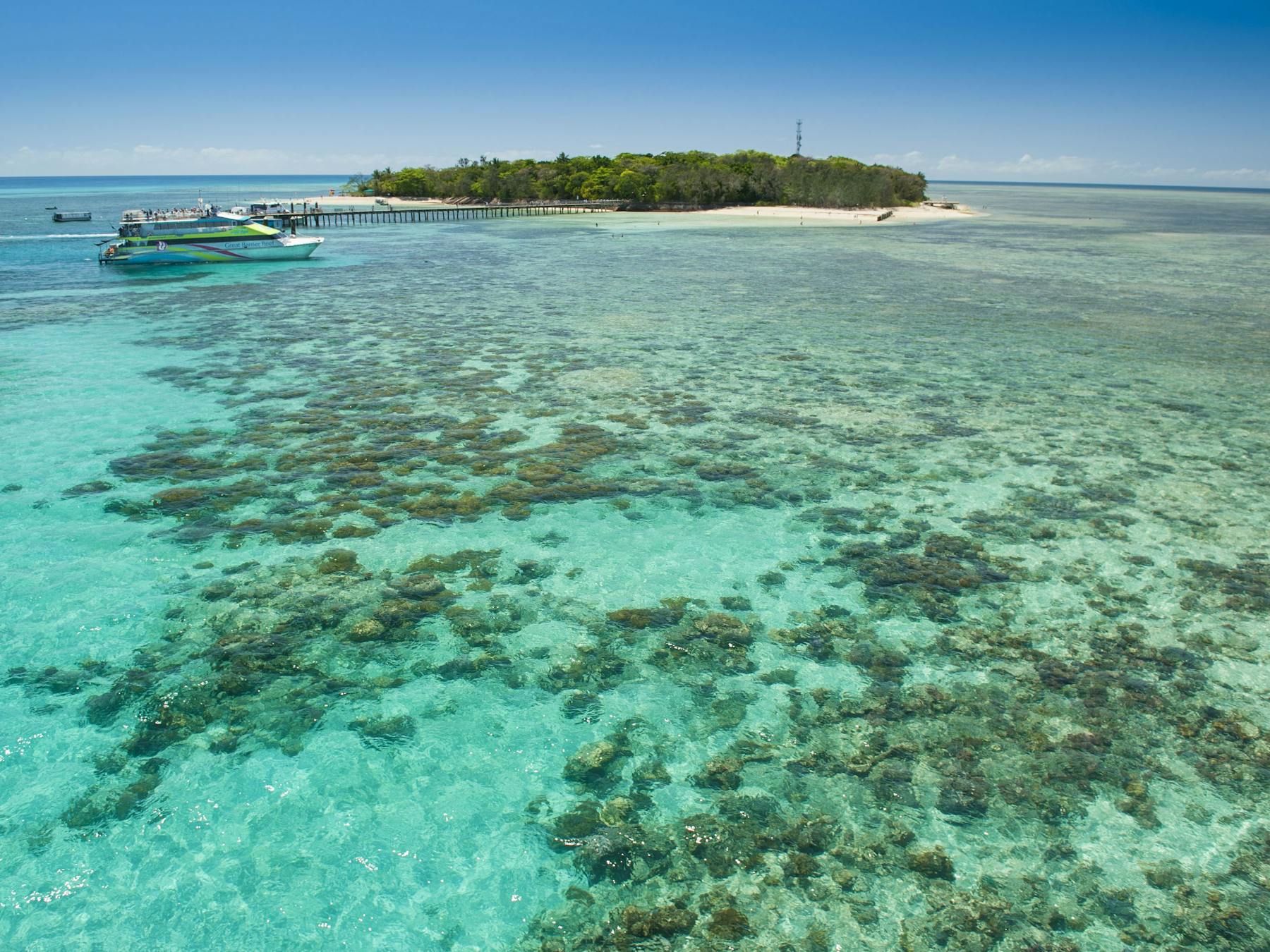 Green Island Great Barrier Reef Tours