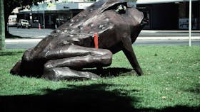 Big Cane Toad