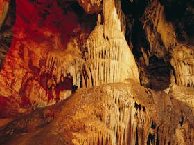 Buchan image