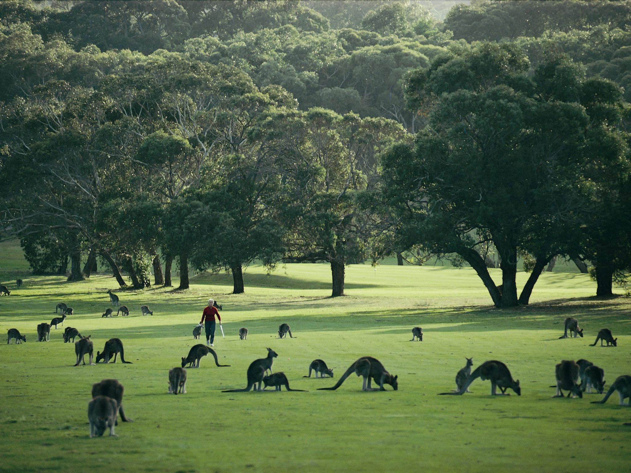 Angelsea Golf Course