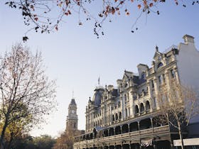 Bendigo image