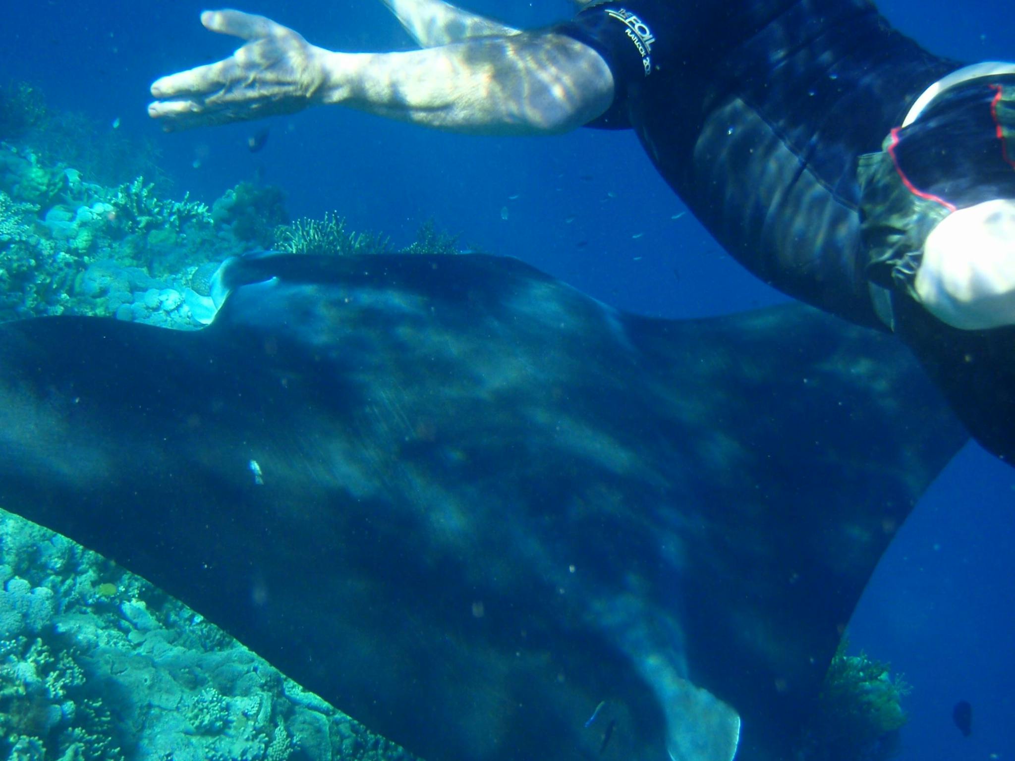 A Whitsunday Luxury Sailing Holiday