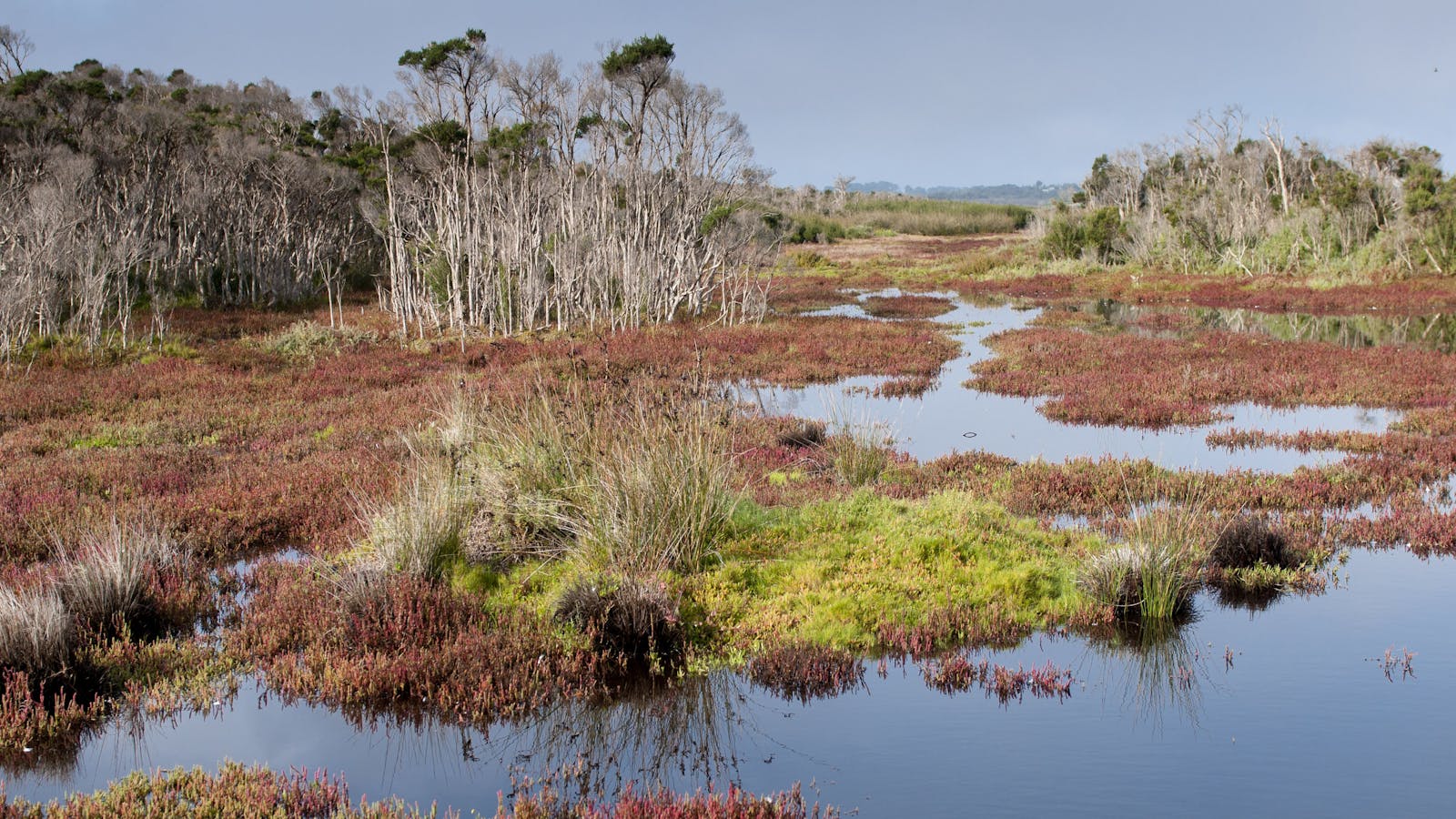 French Island National Park