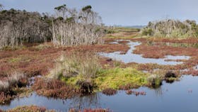 French Island National Park