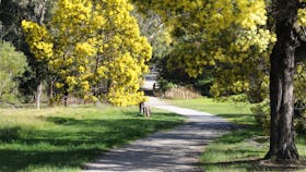 Wattle Park